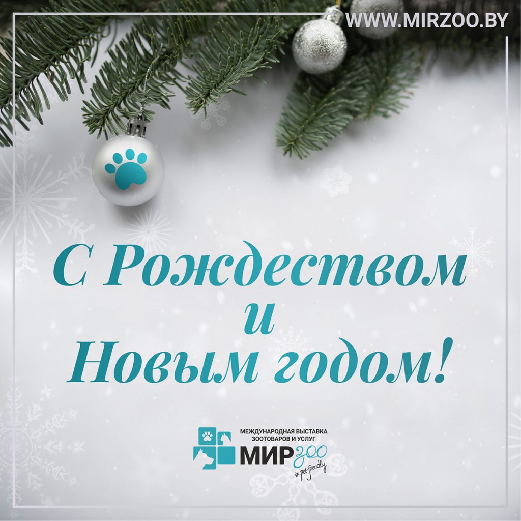 С Рождеством и Новым Годом!