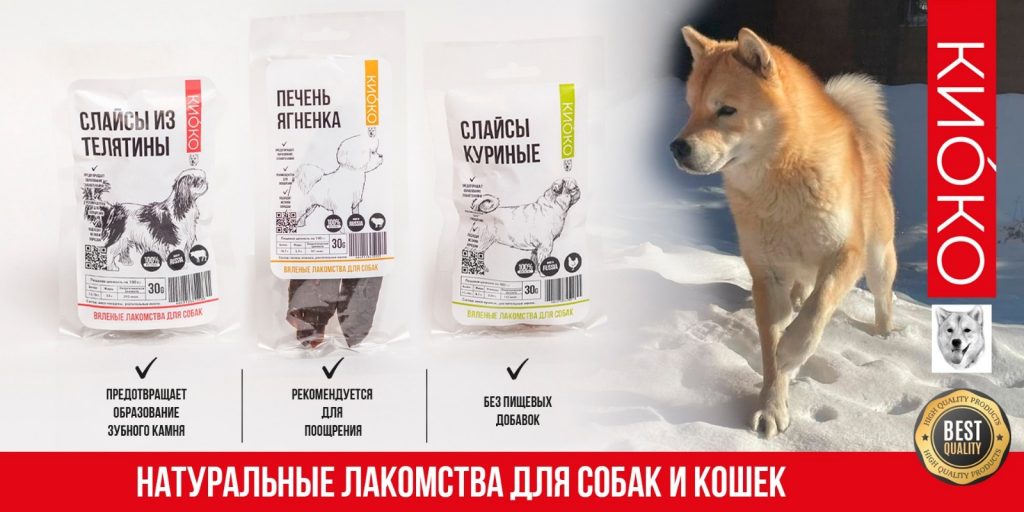 ТМ «КИОКО» – участник выставки «МирЗоо-2023».