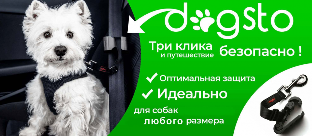 Ремень безопасности для собак Dogsto® представит ИП Чернышева А.Г. на выставке “МирЗоо-2023”.