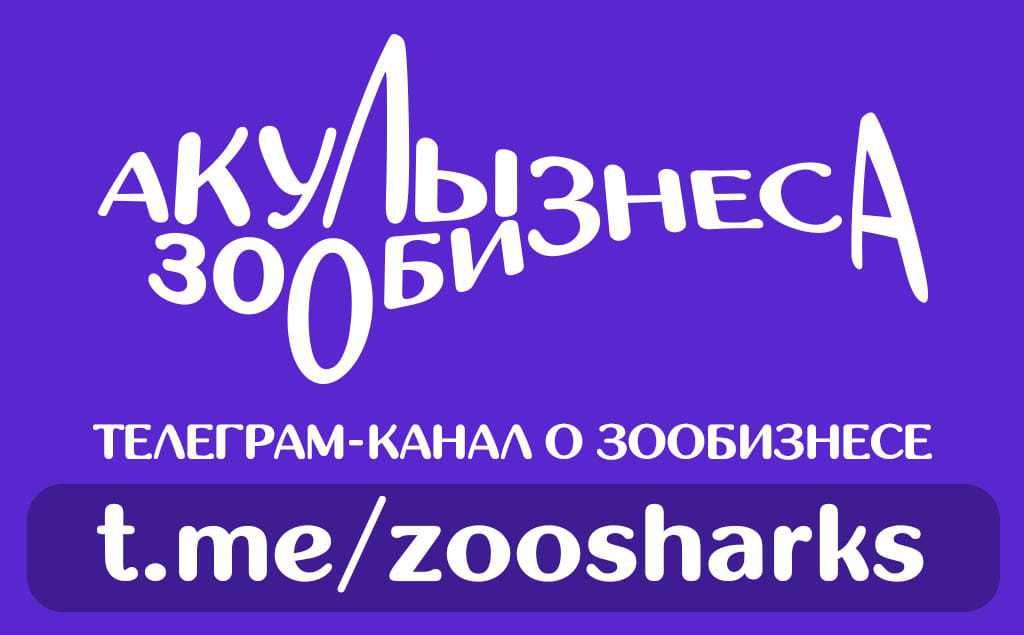 «Акулы Зообизнеса» — быстро растущий телеграм-канал про зообизнес, который рассказывает новости, слухи и инсайды в индустрии, разбавляя их веселыми мемами и шутками.