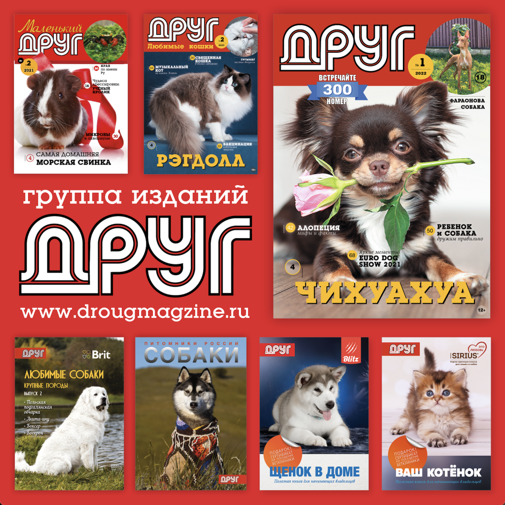 Группа изданий ДРУГ — информационный партнер выставки “МирЗоо-2024”.