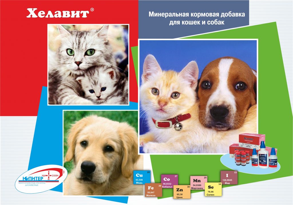 ООО «ЮПИТЕР» — участник выставки “МирЗоо-2024”.