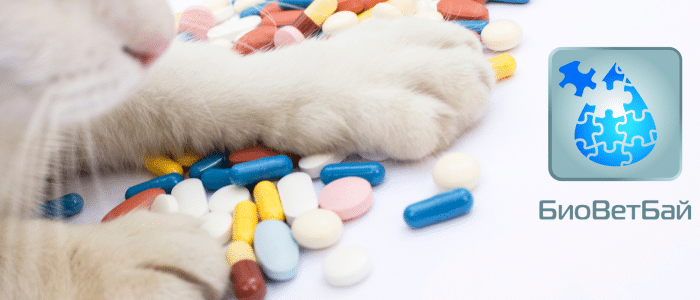 Официальным партнером выставки «МирЗоо» стала компания «БиоВетБай» (www.biovet.by)