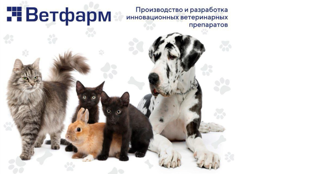 ОДО «Ветфарм»: ветеринарные препараты химико-терапевтического действия Дата: 23 марта