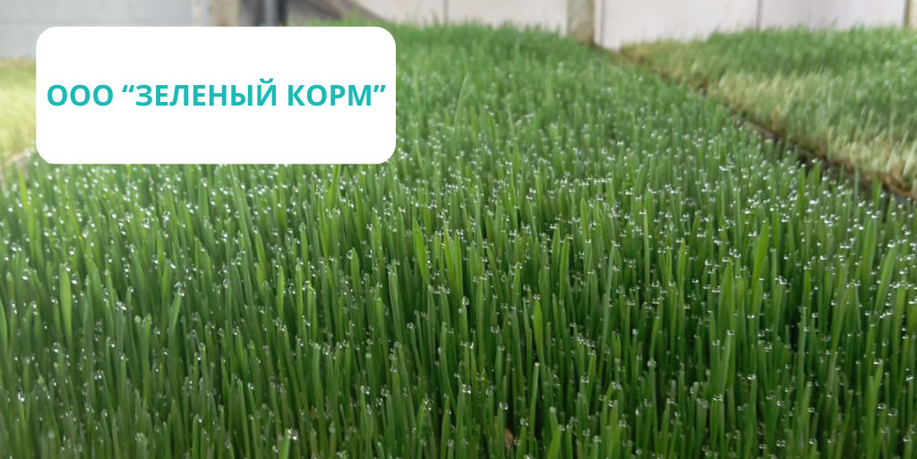 ООО «Зеленый корм» стала участником выставки «МирЗоо» в 2025 году.